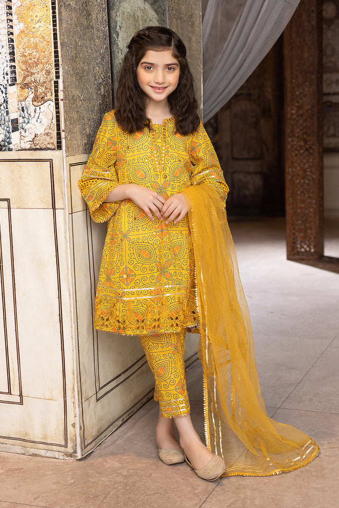 3-Pc Lawn Embroidered Shirt With Straight Trouser and Poly Net Dupatta CKP23-14