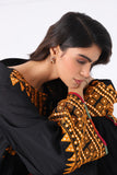 2-Pc Embroidered Raw Silk Shirt with Straight Trouser SCPM3-44