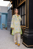 2 Pc Unstitched Printed Lawn CPN22-09