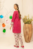 2-Pc Embroidered Lawn Shirt With Cotton Print Shalwar CNP22-17-S